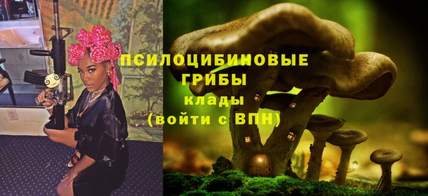 молекула духа Карталы