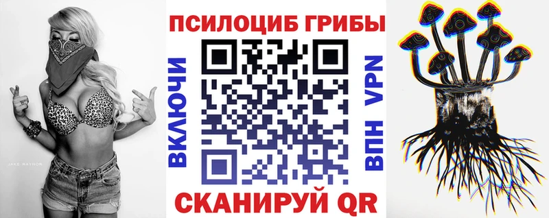 Галлюциногенные грибы Psilocybine cubensis  Купить закладки  Дигора 